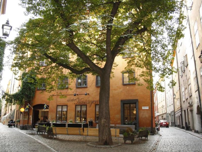 Castanea Old Town Hostel im Zentrum